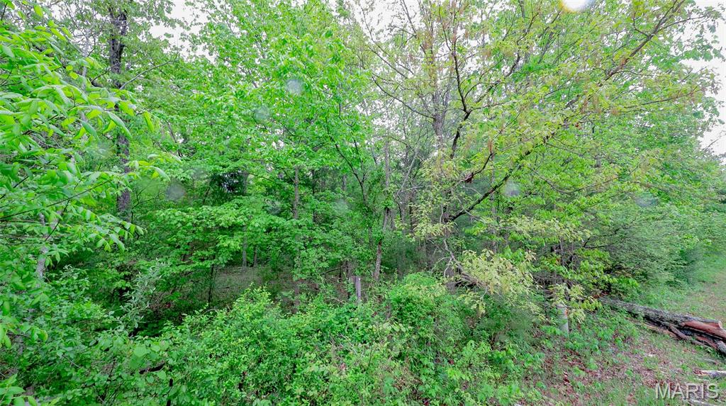 0 Mo-221 Ironton, MO 63650 - Photo 5 of 12