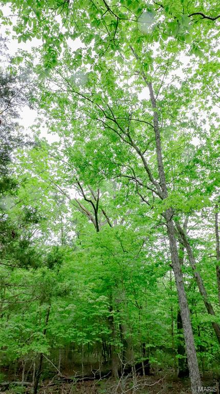 0 Mo-221 Ironton, MO 63650 - Photo 6 of 12