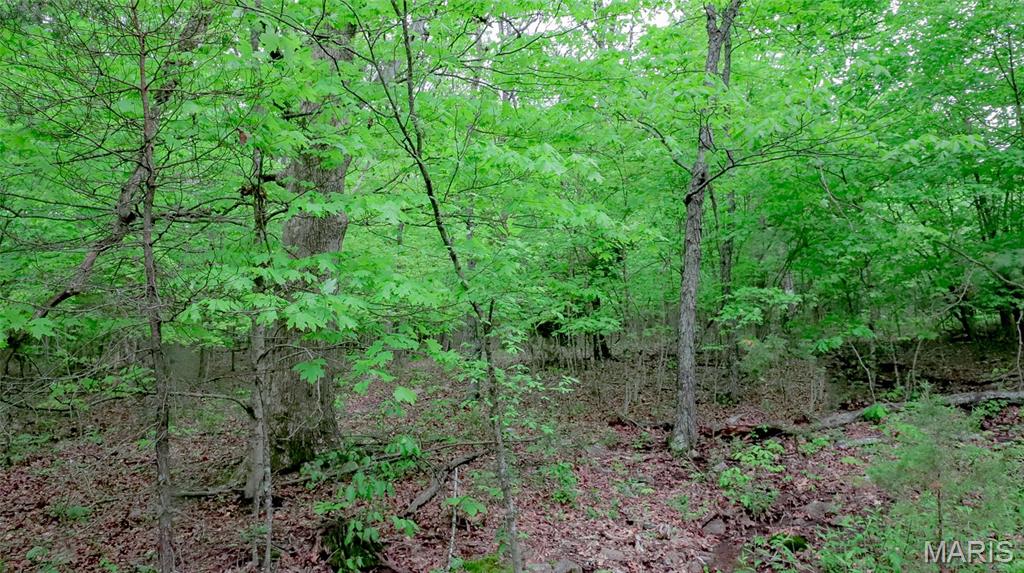 0 Mo-221 Ironton, MO 63650 - Photo 7 of 12