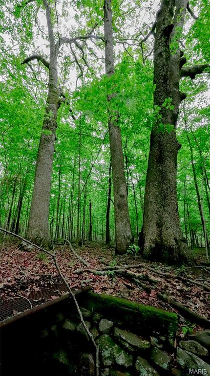 0 Mo-221 Ironton, MO 63650 - Photo 8 of 12