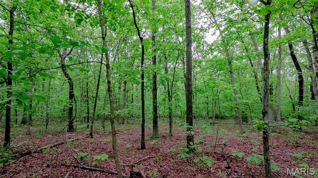 0 Mo-221 Ironton, MO 63650 - Photo 9 of 12