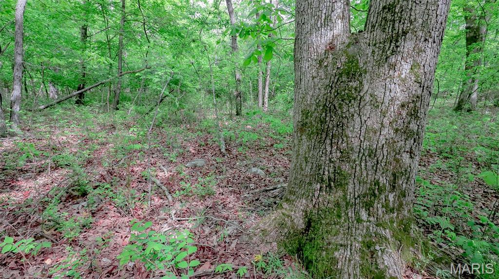 0 Mo-221 Ironton, MO 63650 - Photo 10 of 12