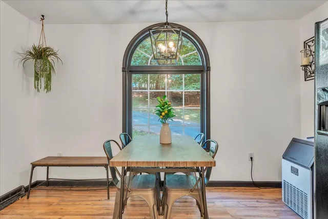 a dining room with furniture potted plants and wooden floor