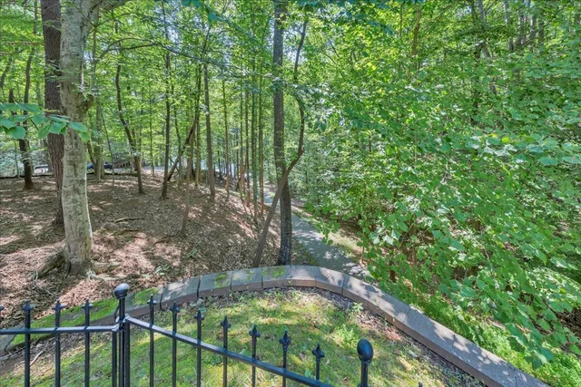 a view of a garden with plants