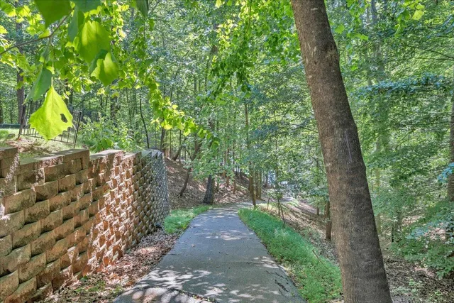 a backyard of a house with lots of green space