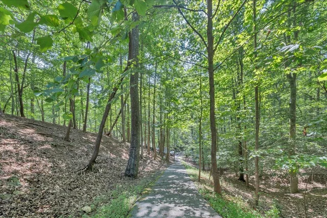 a view of a backyard with sitting area