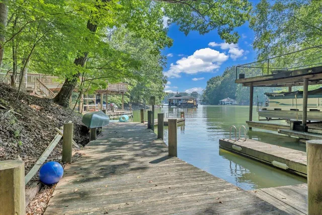 a view of a backyard with a tree