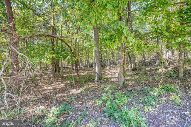 $930,000 | 13014 English Turn Drive, Silver Spring, MD 20904