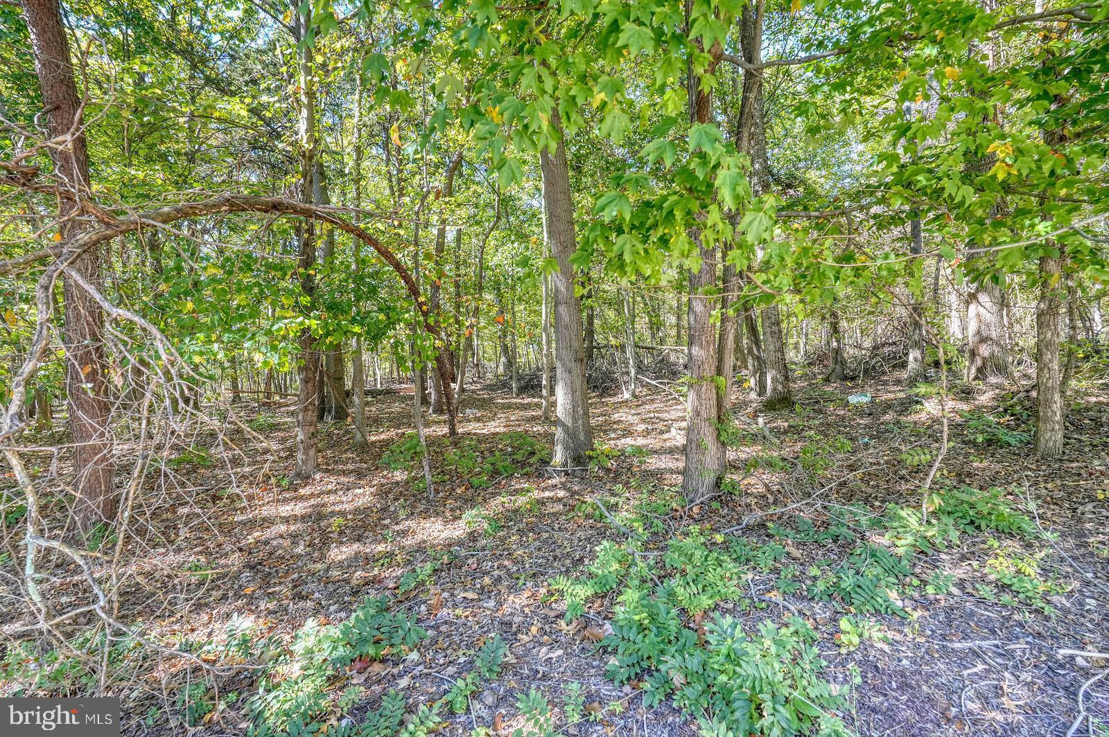 13014 English Turn Drive Silver Spring, MD 20904 - Photo 31 of 62 a backyard of a house with lots of green space