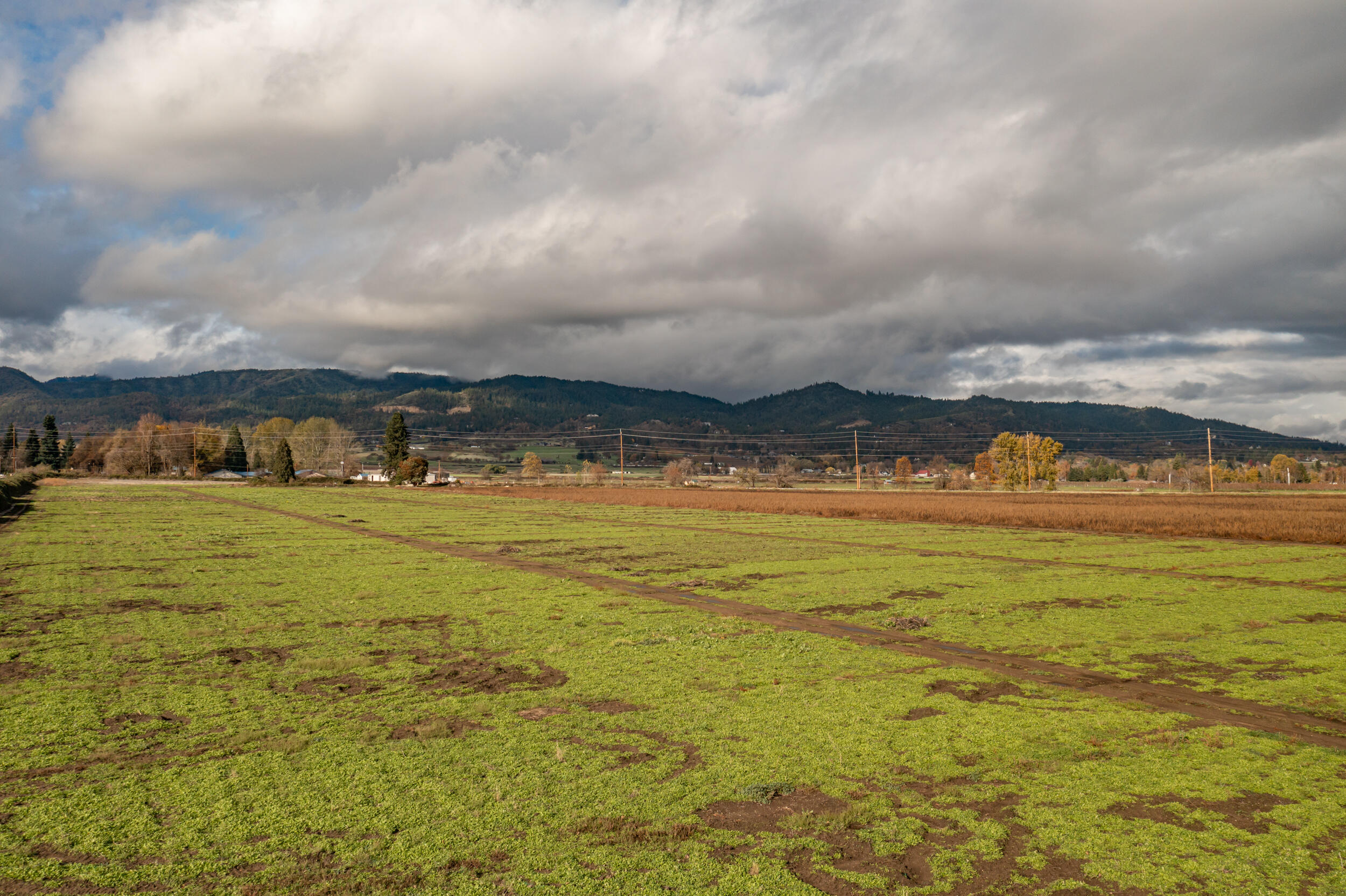 1052 Hanley Road Medford, OR 97501 - Photo 24 of 35 10
