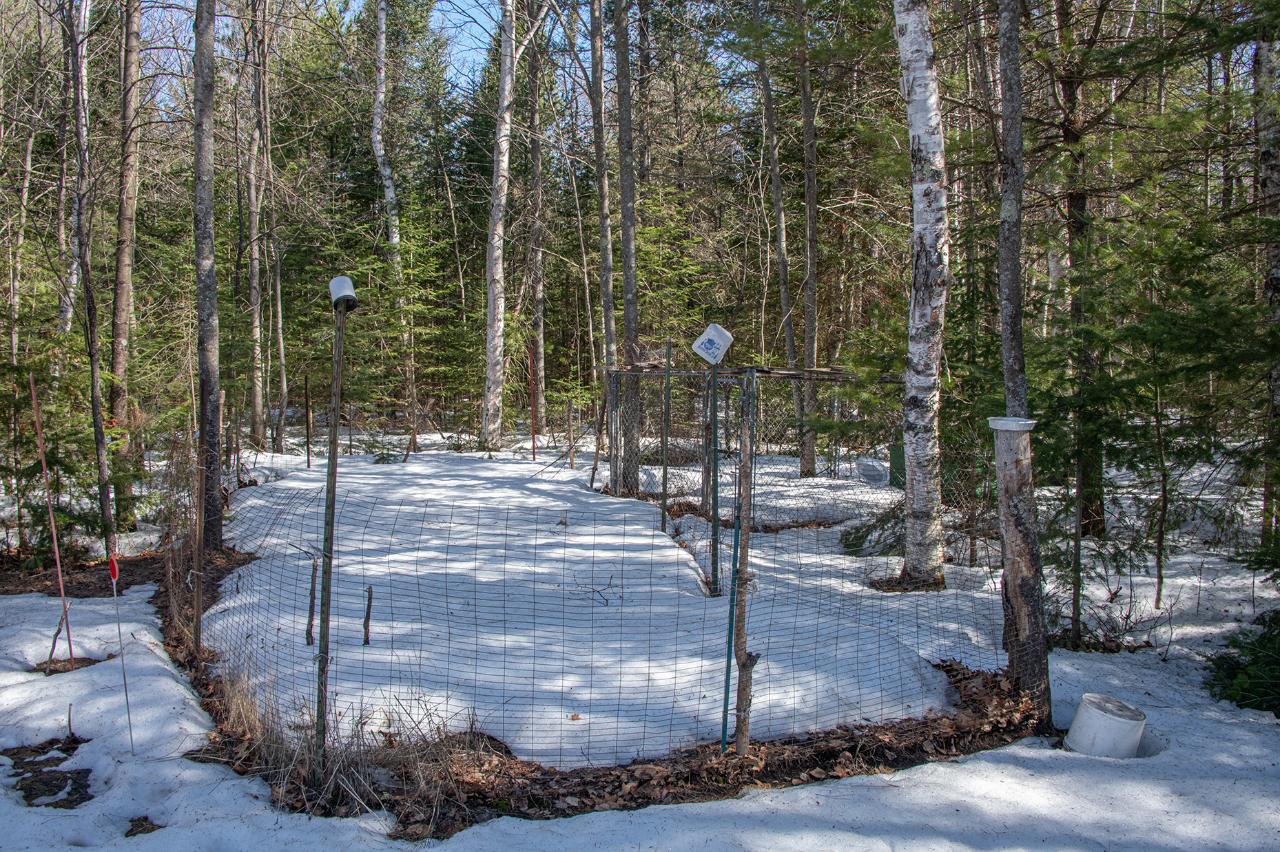 512 Meta Lake Road Eagle River, WI 54521 - Photo 22 of 38 Gallery Image 22