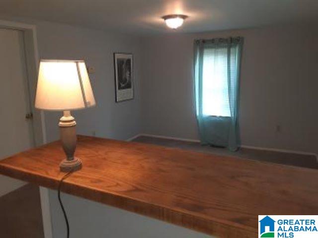 680 Spunky Hollow Road Remlap, AL 35133 - Photo 6 of 7