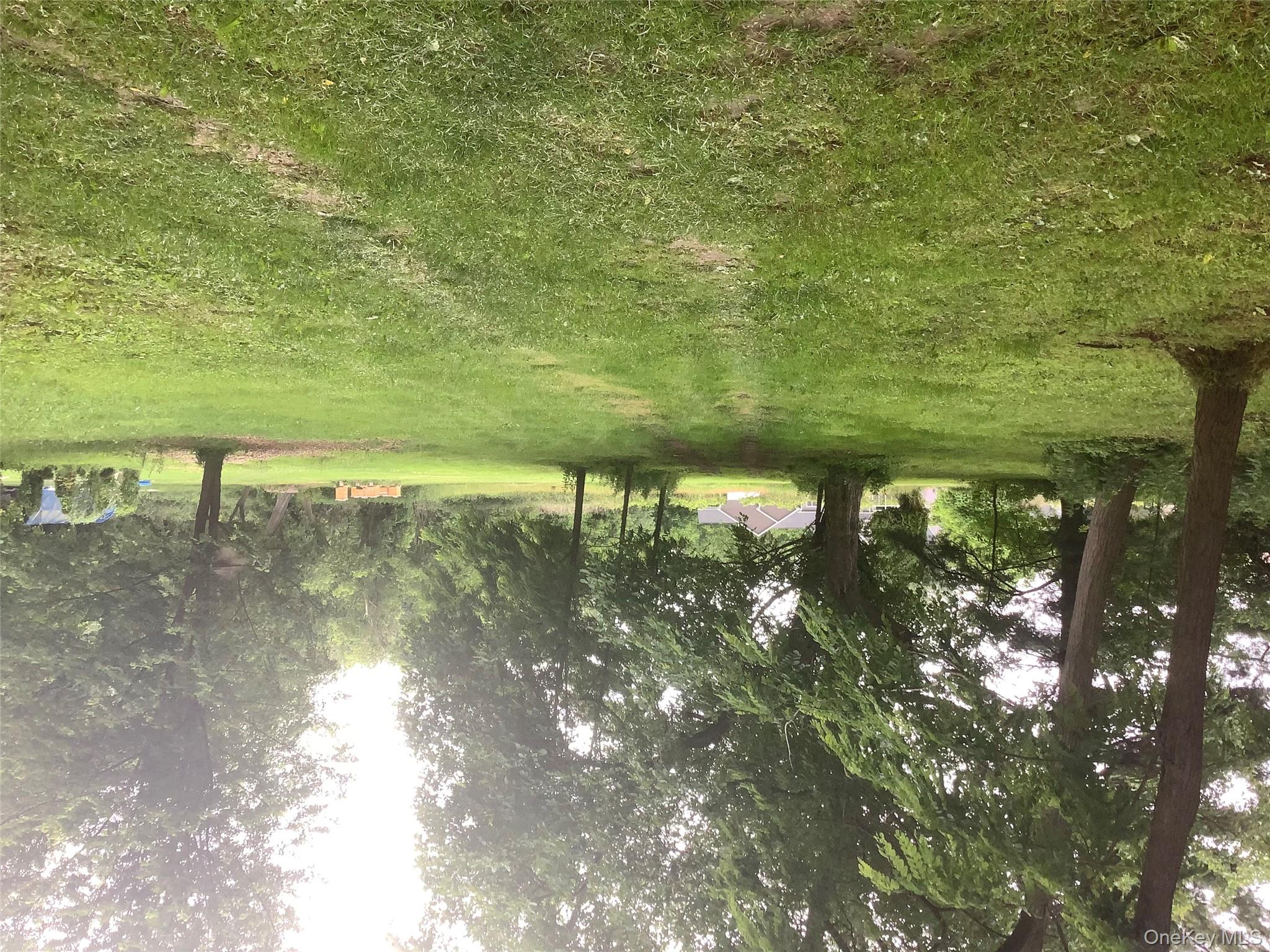 a view of a field with a tree