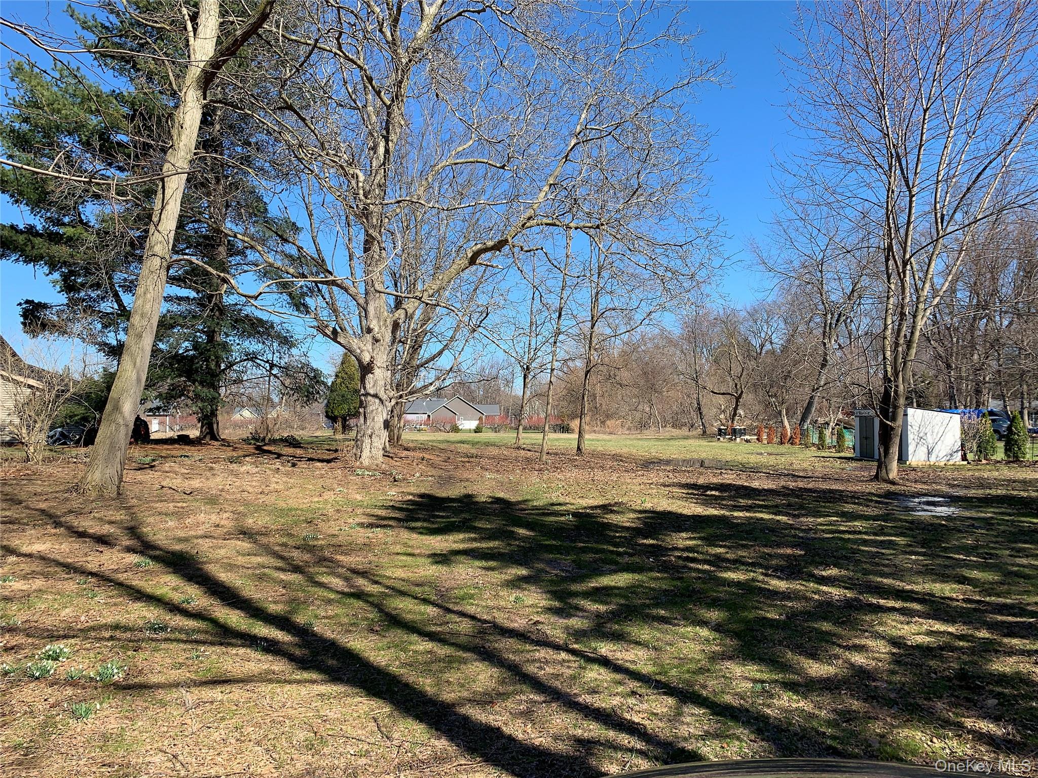 926 Klem Road Webster, NY 14580 - Photo 3 of 3 a view of dirt yard with a large tree
