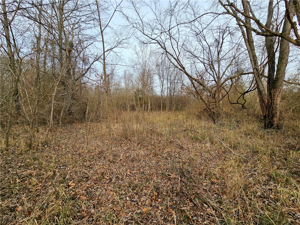 East Iron Bridge Road Marshall, IL 62441 - Photo 17 of 29 a view of backyard of a house