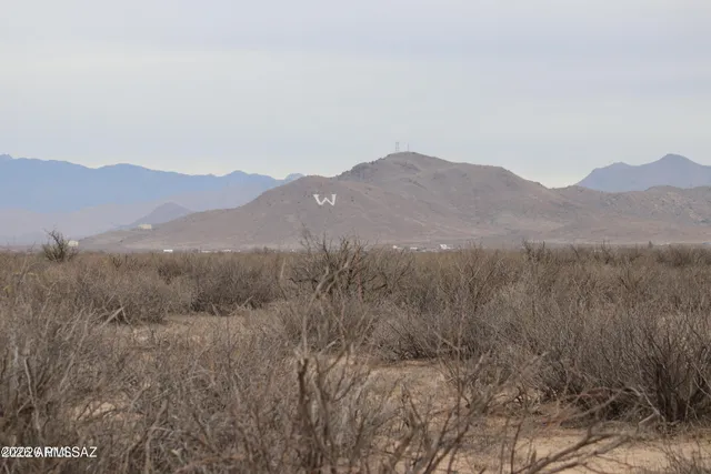 $39,500 | Tbd West Iron Rose Road, Willcox, AZ 85643