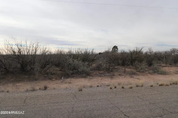 a view of a dry yard with trees in the background