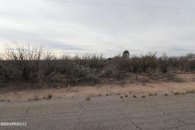 $39,500 | Tbd West Iron Rose Road, Willcox, AZ 85643