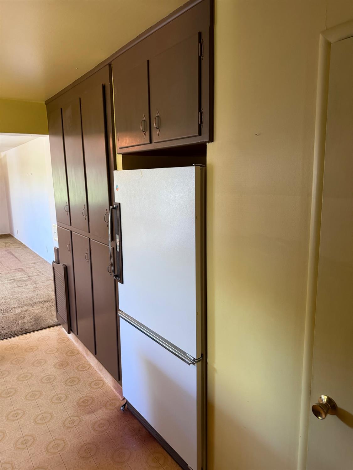 231 Boarman Street Jackson, CA 95642 - Photo 17 of 65 Pantry closet and refridgerator