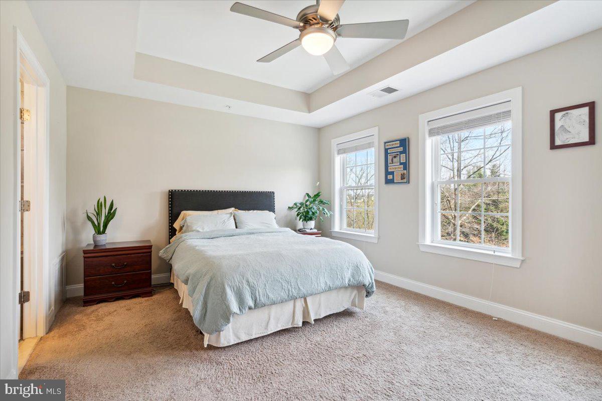 7024 Fox Chase Road New Market, MD 21774 - Photo 24 of 57 Primary suite with tray ceilings.