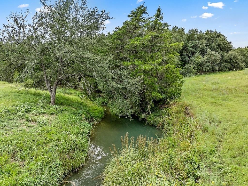 4811 Farm To Market Road 155 Weimar, TX 78962 - Photo 1 of 30 a view of a lush green forest with lots of trees