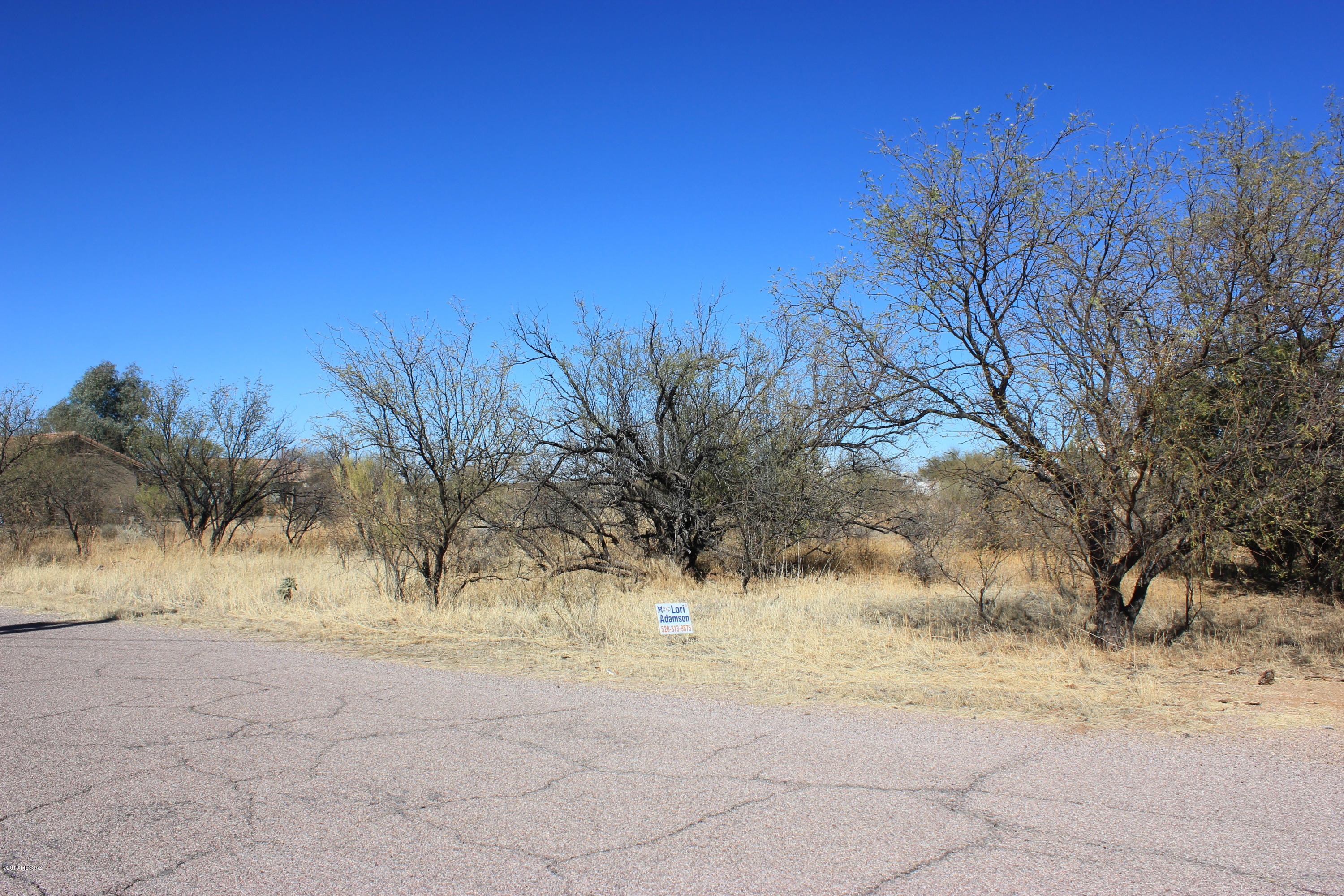 1705 Camino Jalisco, Unit 13 Rio Rico, AZ 85648 - Photo 1 of 1 Gallery Image 1