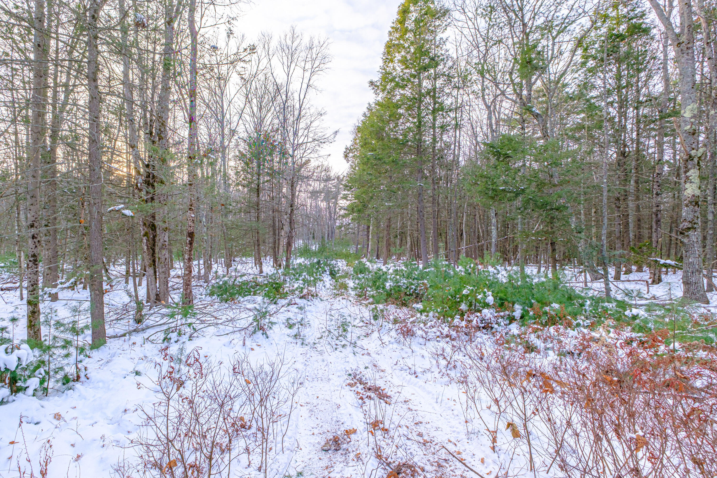 0 Field Road Bath, ME 04530 - Photo 7 of 36 20251209gp-62002