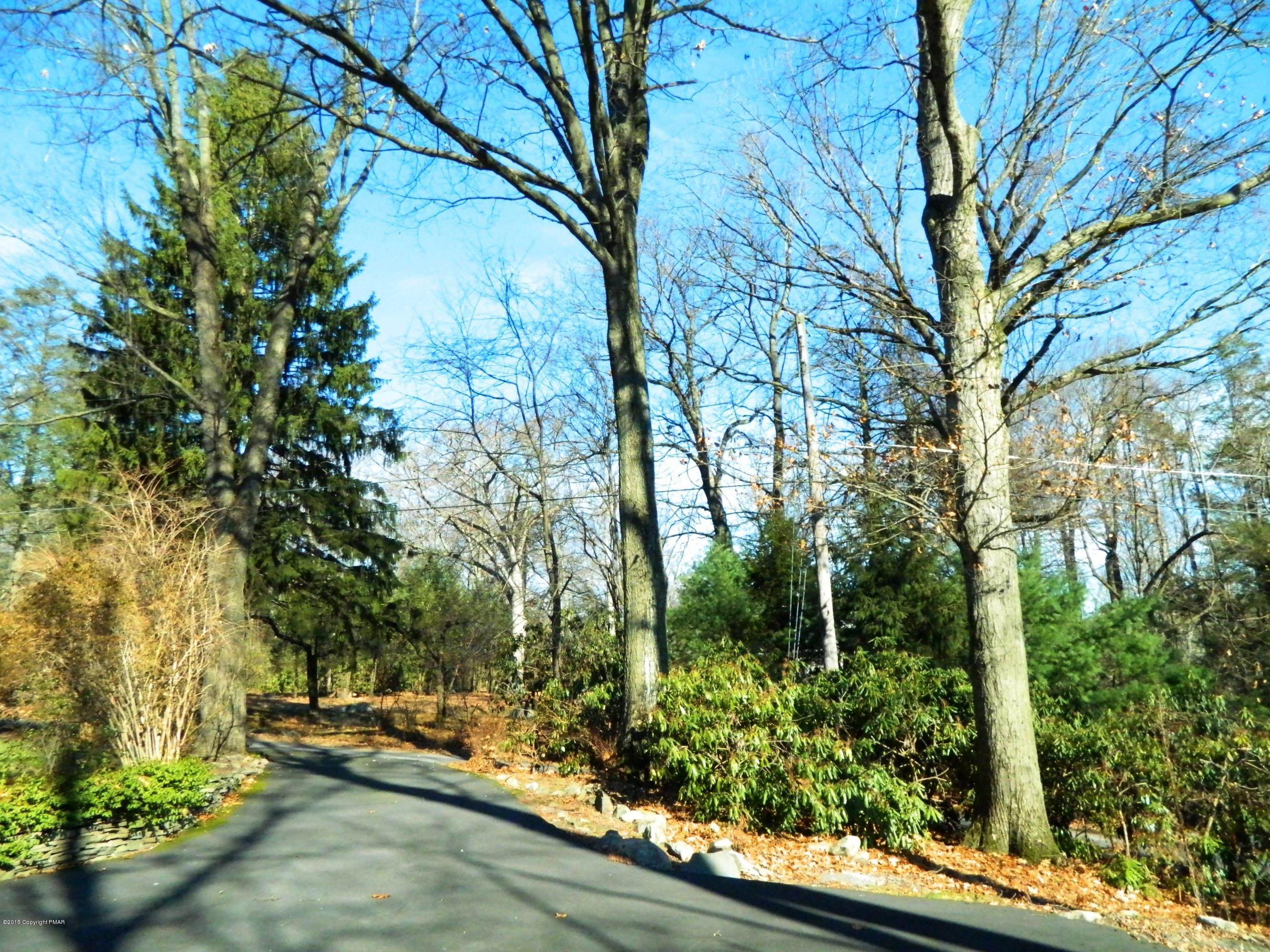 310 Dutch Hill Road Canadensis, PA 18325 - Photo 8 of 36 Wooded Lot