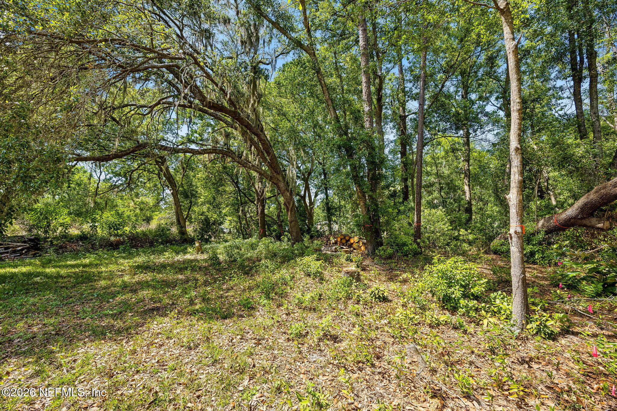 11-web-or-mls-7_4319 Gaskins Rd