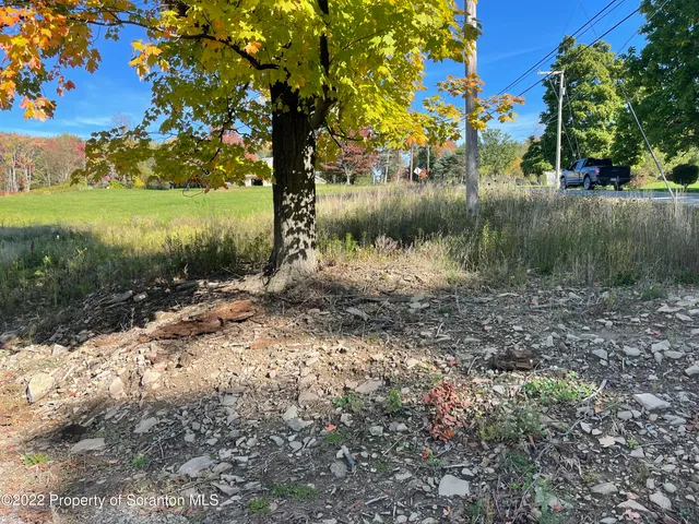 a view of a yard with a tree