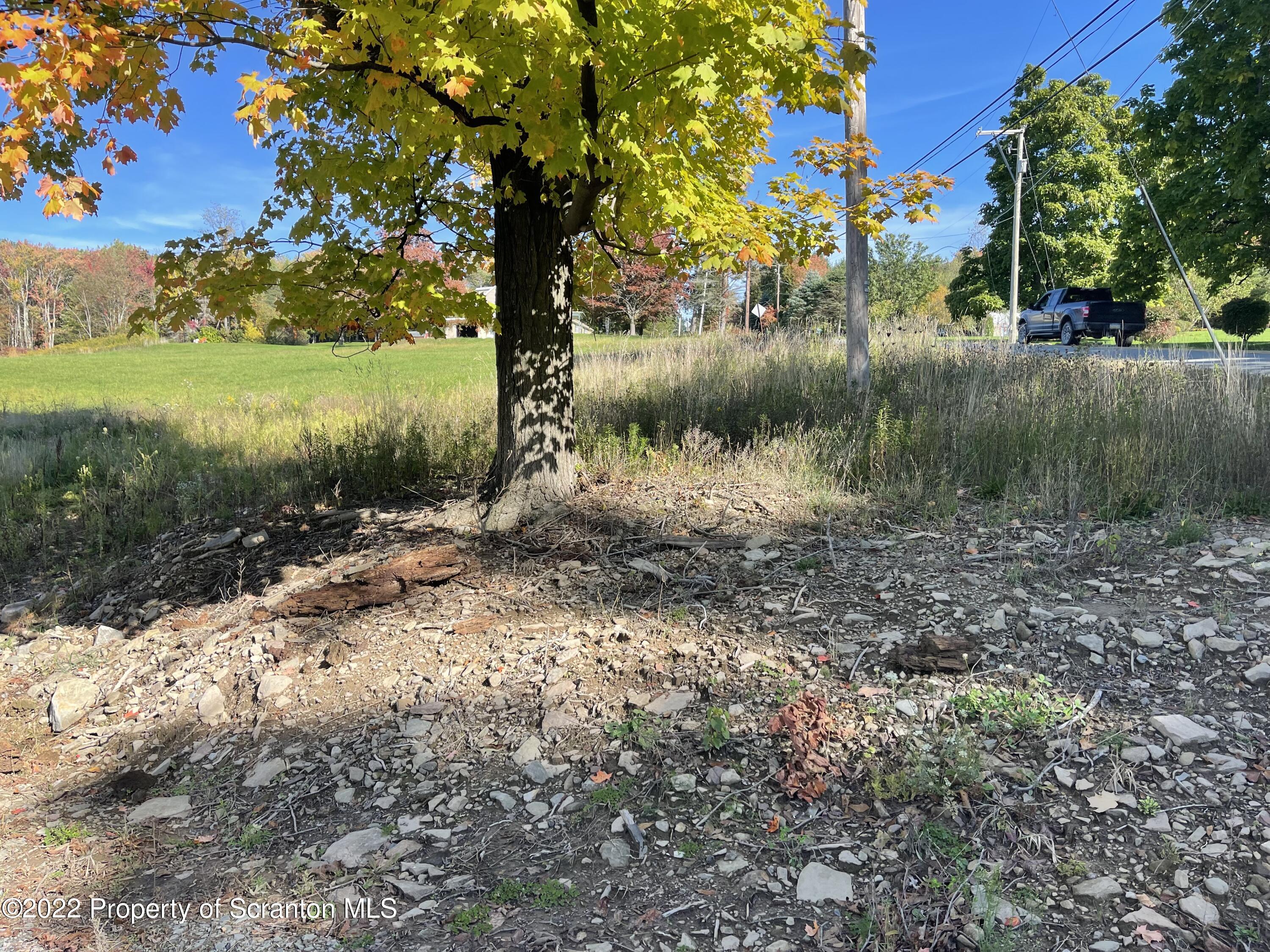 5 Wooded Lane Clarks Summit, PA 18411 - Photo 4 of 9 a view of a yard with a tree