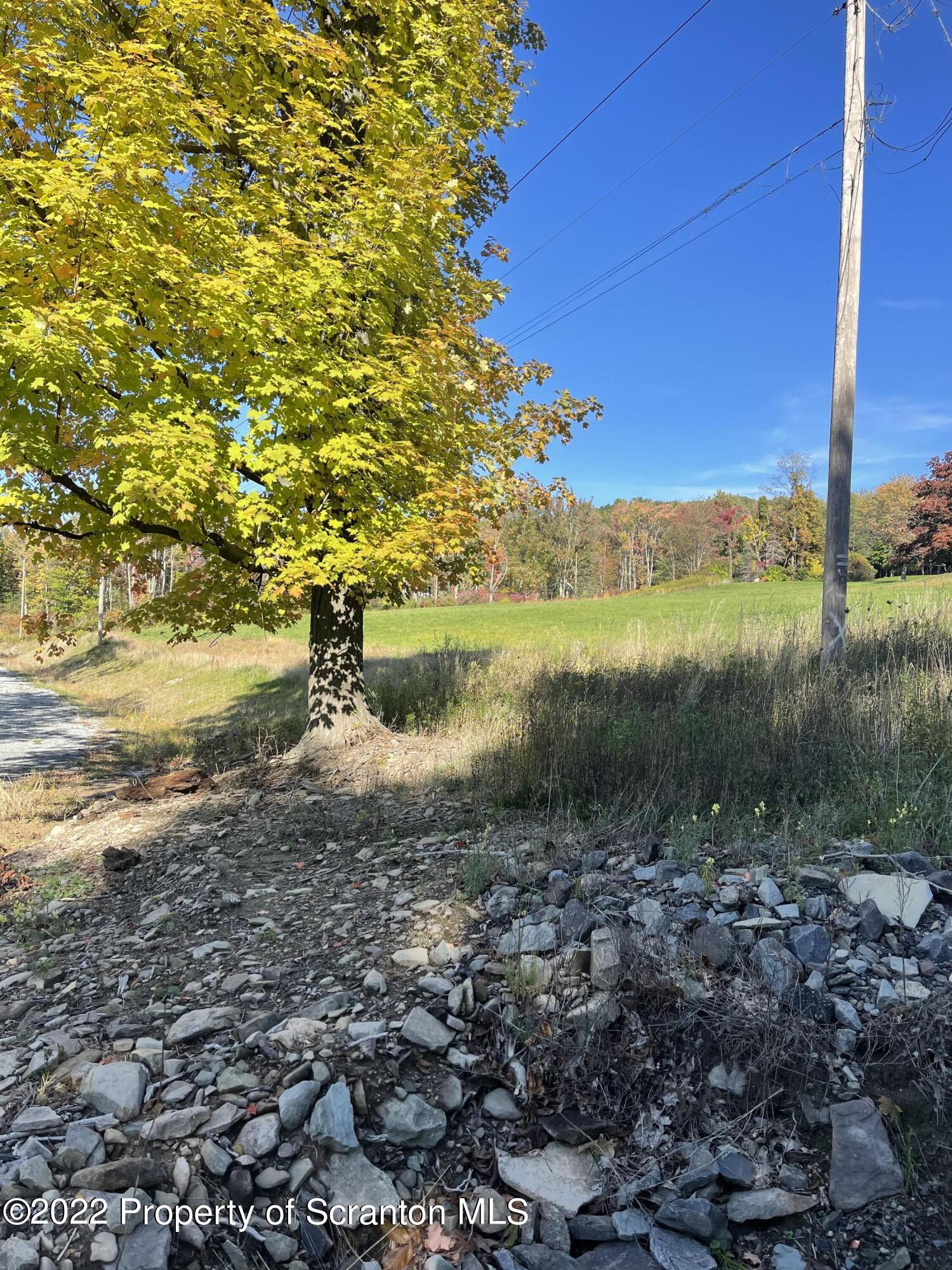 5 Wooded Lane Clarks Summit, PA 18411 - Photo 7 of 9 a view of a lake with a mountain