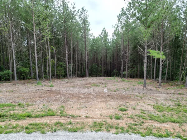 a view of backyard with green space