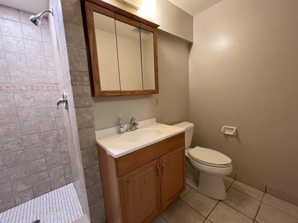 3002 7th Avenue Northwest Rochester, MN 55901 - Photo 23 of 34