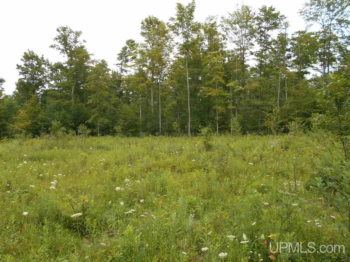 3886 Quarry Road Gulliver, MI 49840 - Photo 2 of 9 Gallery Image 2