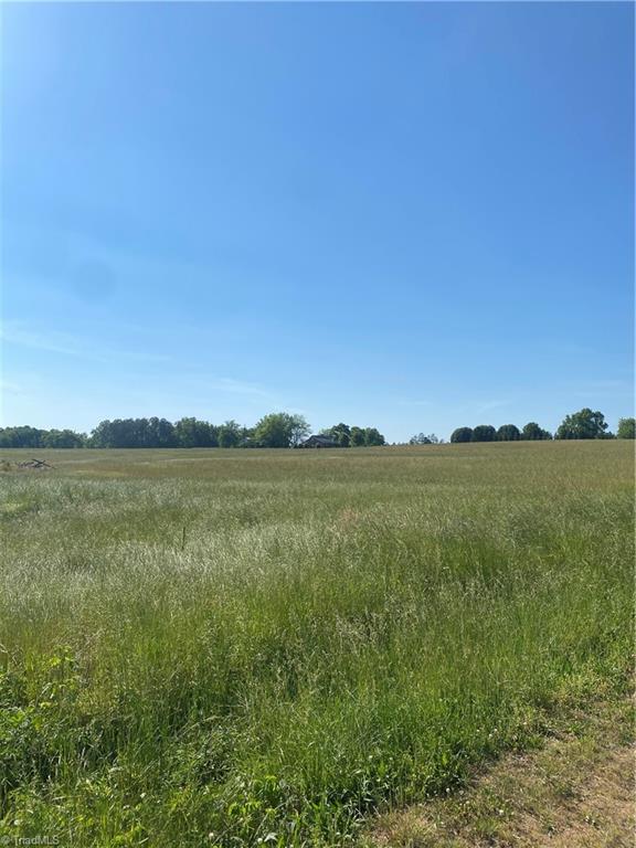 556 Troublesome Road Reidsville, NC 27320 - Photo 1 of 8