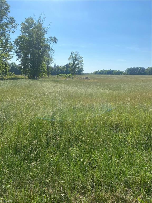 556 Troublesome Road Reidsville, NC 27320 - Photo 2 of 8