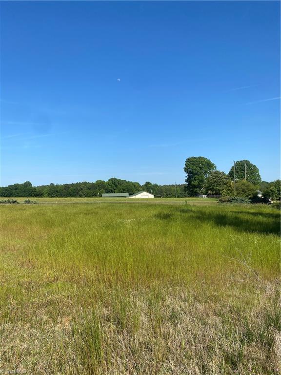 556 Troublesome Road Reidsville, NC 27320 - Photo 4 of 8