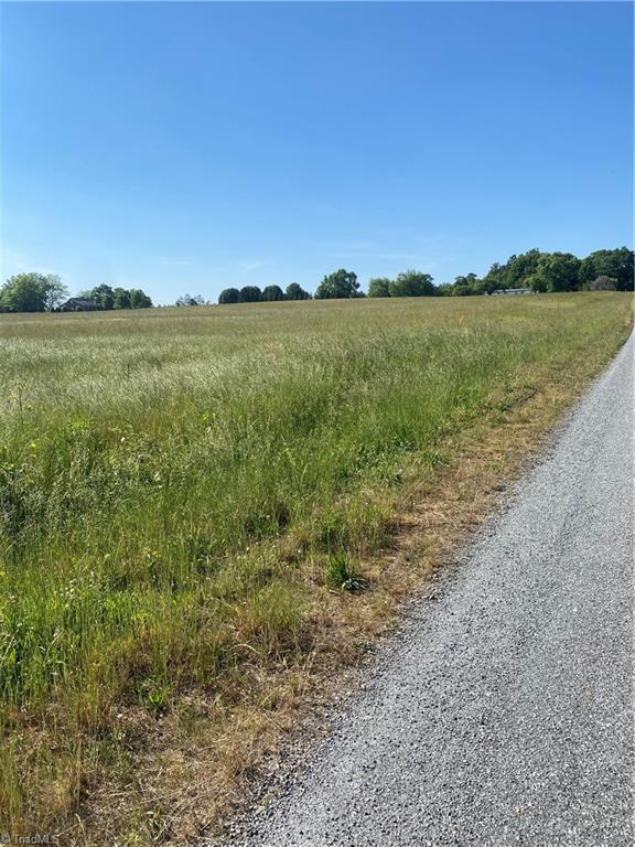 556 Troublesome Road Reidsville, NC 27320 - Photo 5 of 8