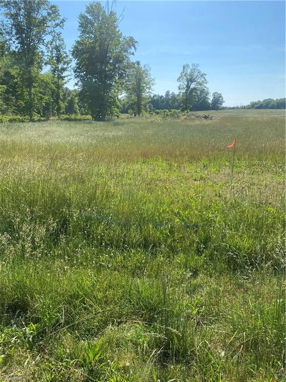 556 Troublesome Road Reidsville, NC 27320 - Photo 7 of 8