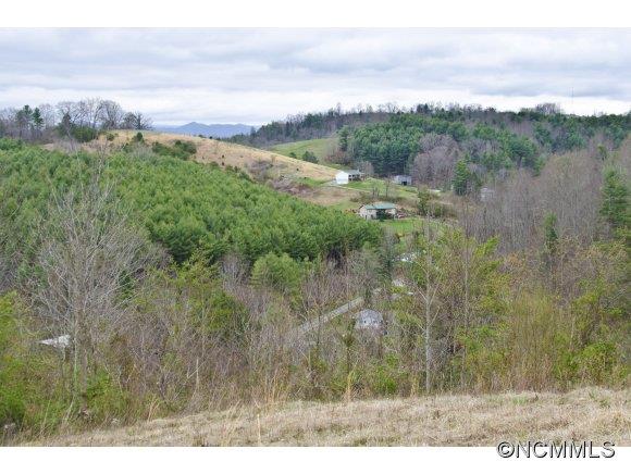 58 Ponder Farm Road Marshall, NC 28753 - Photo 3 of 20 a view of a city with lush green forest