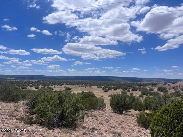 41 Indian Drive Concho, AZ 85924 - Photo 18 of 26 IMG_3684