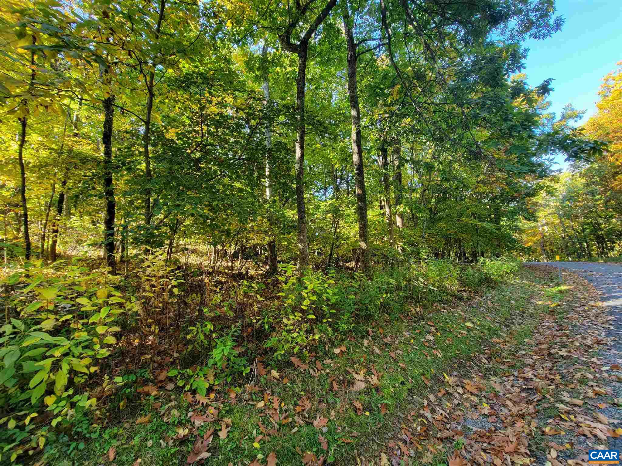41 Hickory Spring Road Roseland, VA 22967 - Photo 6 of 7
