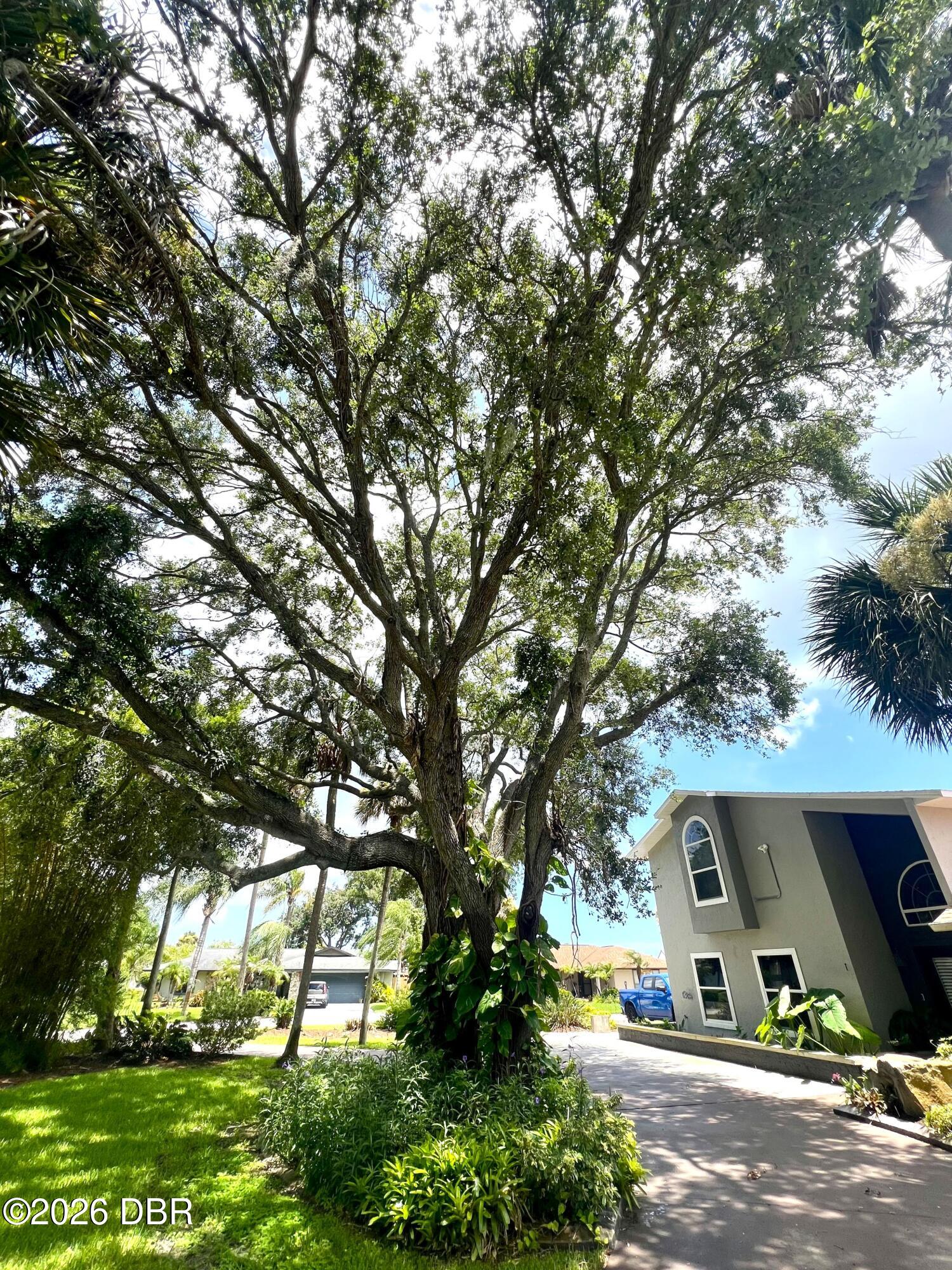 1 Harris Circle Edgewater, FL 32141 - Photo 52 of 97 IMG_4762