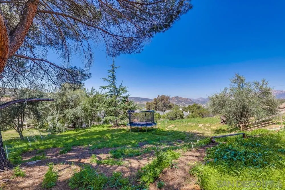 1125 South Grade Road Alpine, CA 91901 - Photo 50 of 50 a view of a garden with plants and large trees
