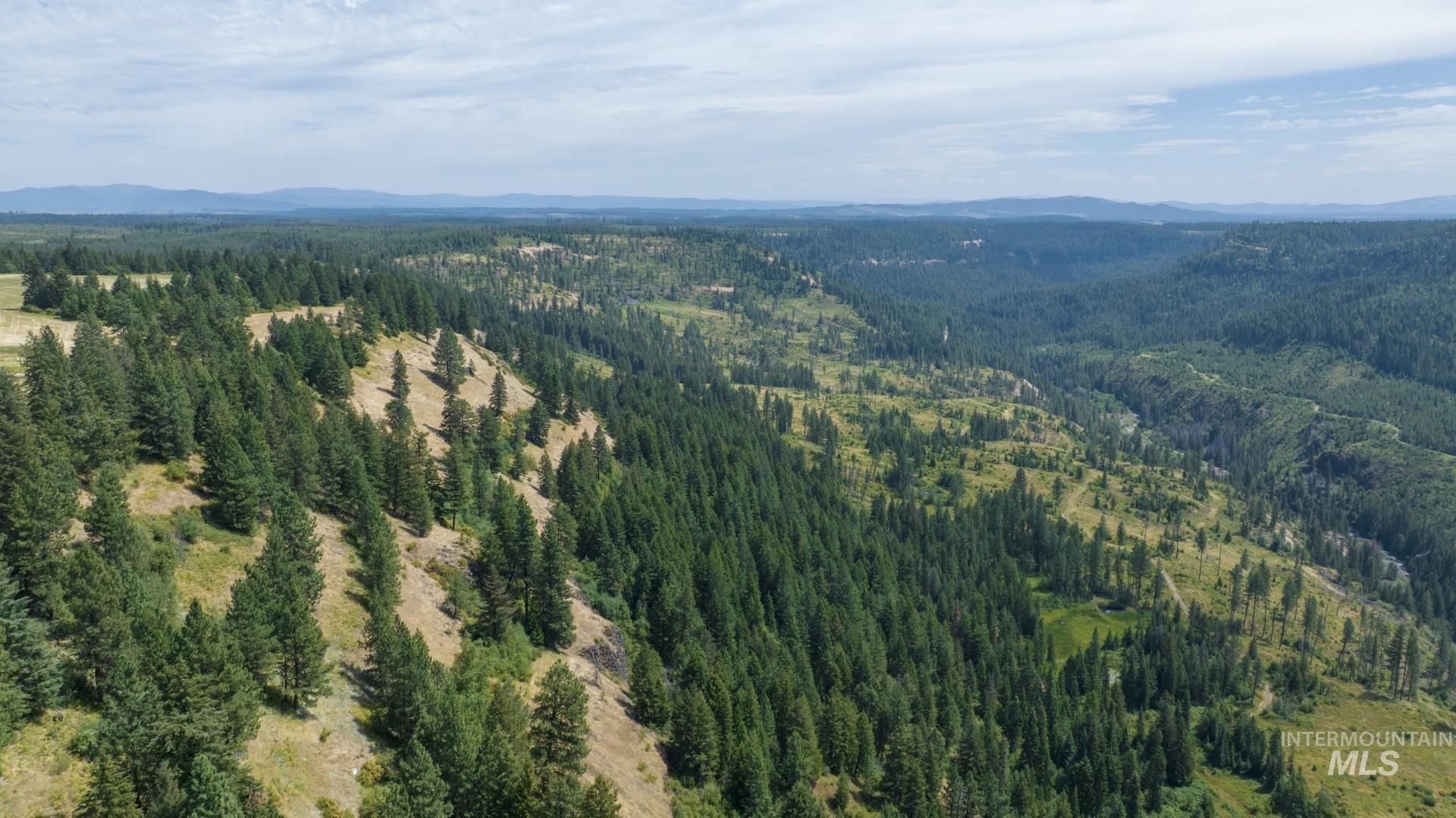 1605 Jasmine Lane Weippe, ID 83553 - Photo 11 of 11