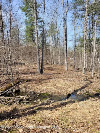 a view of a yard with trees