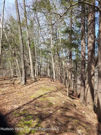 a view of a backyard of the house