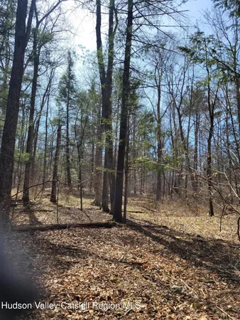 a view of backyard of house