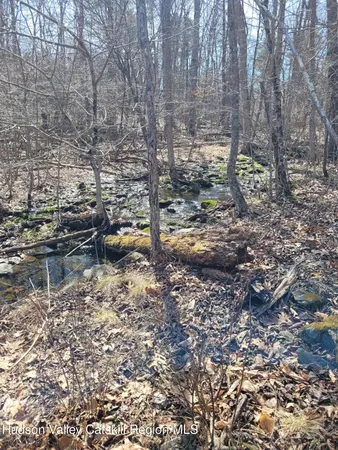 a view of a pathway with a tree